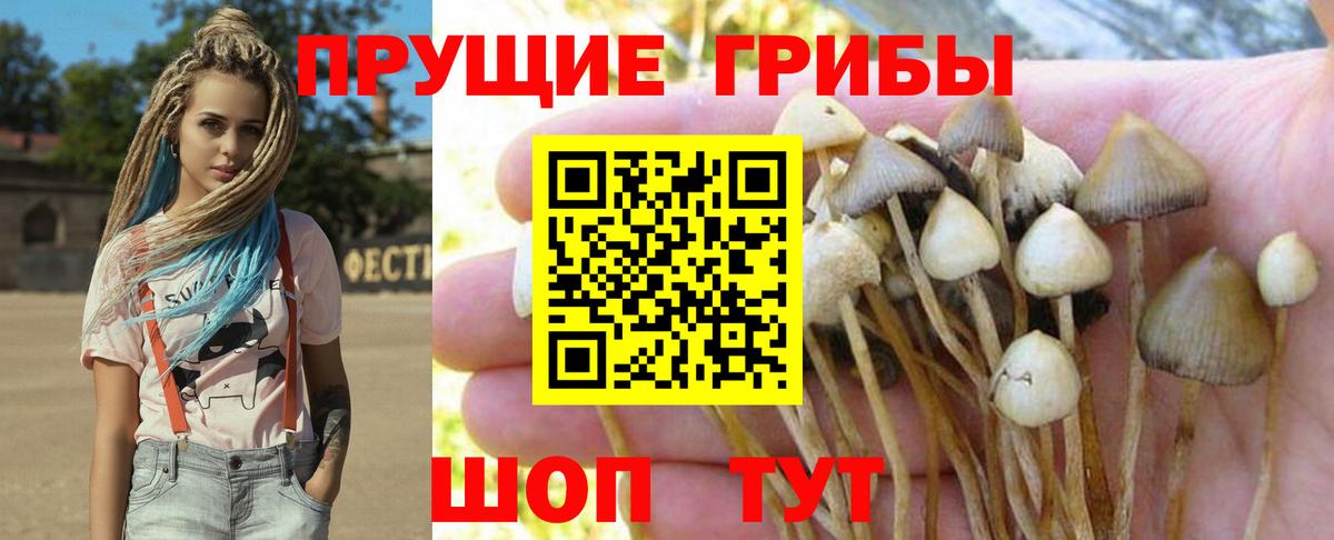 Галлюциногенные грибы мицелий Ялта